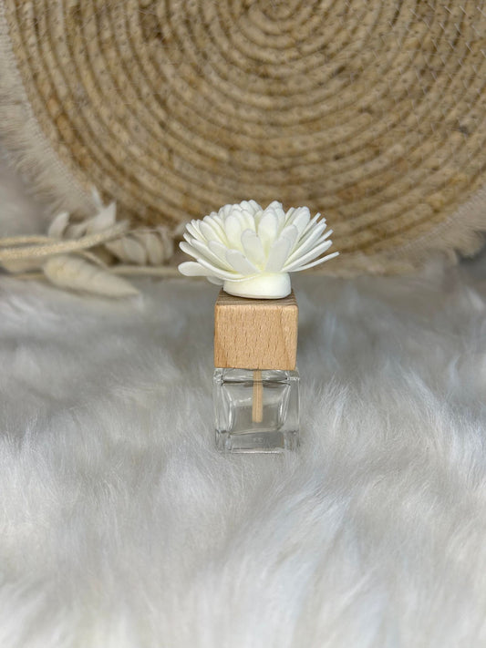 Diffuseur voiture parfum "Monoï"